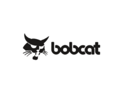 bobcat